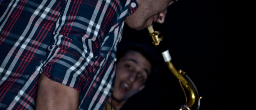 Cucarachas