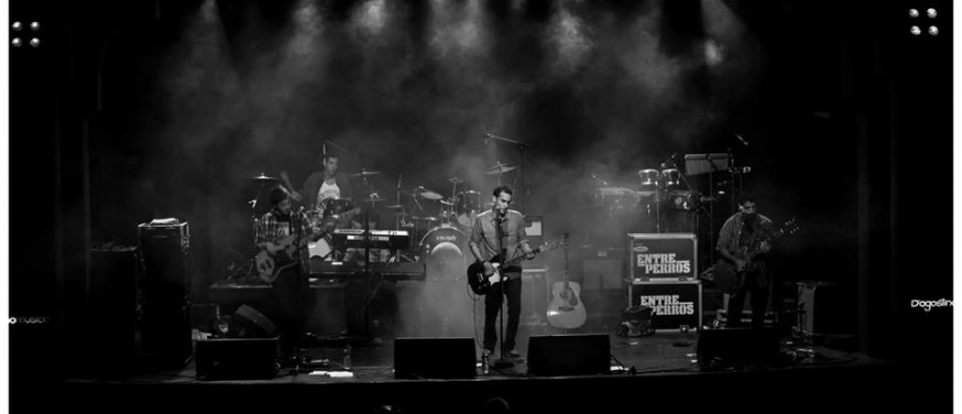 Entre perros rock