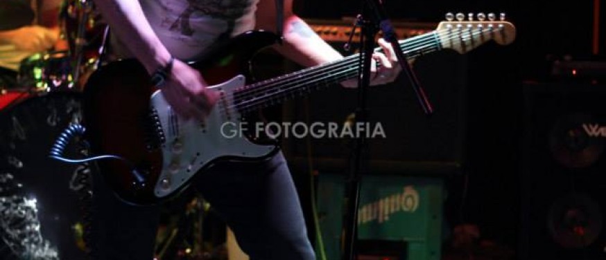 D-CIMA