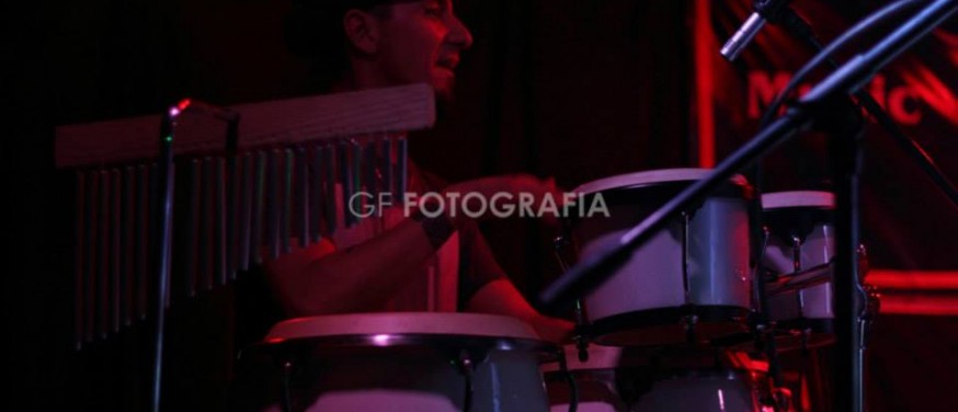 D-CIMA